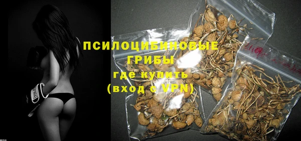 ПСИЛОЦИБИНОВЫЕ ГРИБЫ Навашино